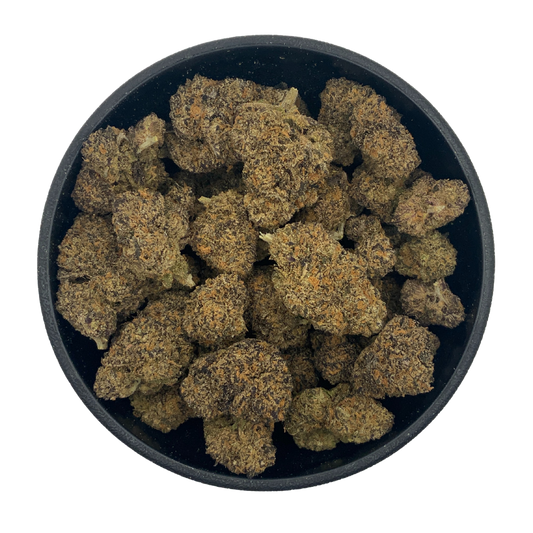 Ferrari Runtz - Indoor