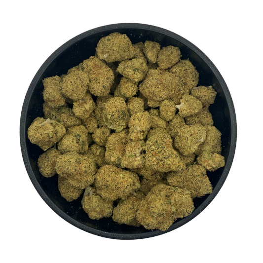 Gary Payton - Indoor