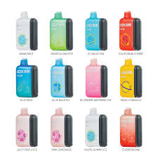 Geek Bar Pulse Disposable Vape – 15000 Puffs, Dual Mesh Coil, Rechargeable