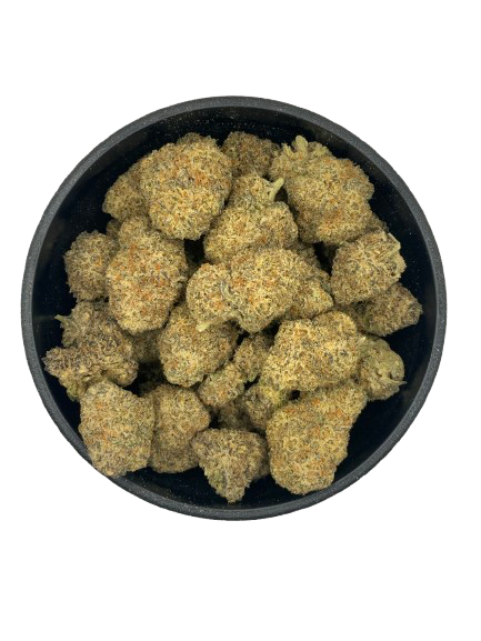 Mochi Gelato - Indoor