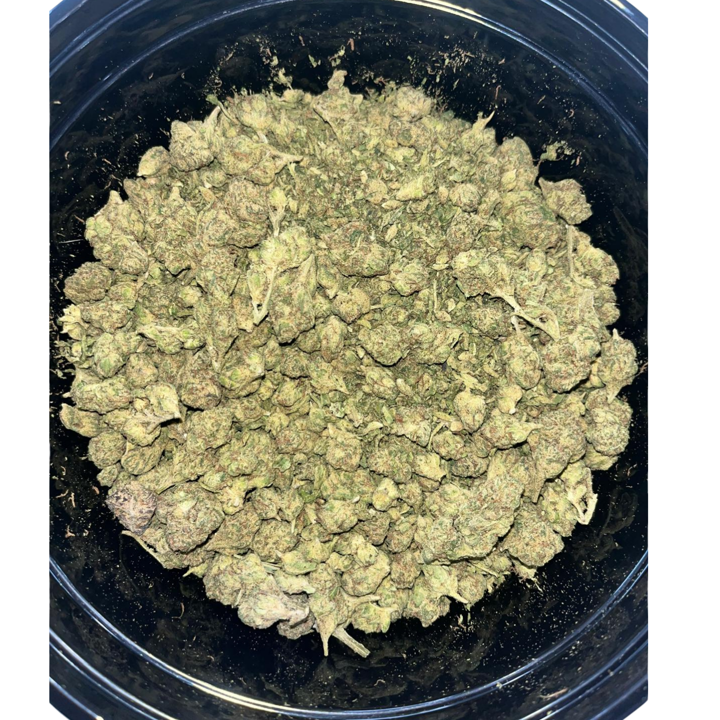 Lemon Cherry Gelato Smalls / Shake Combo