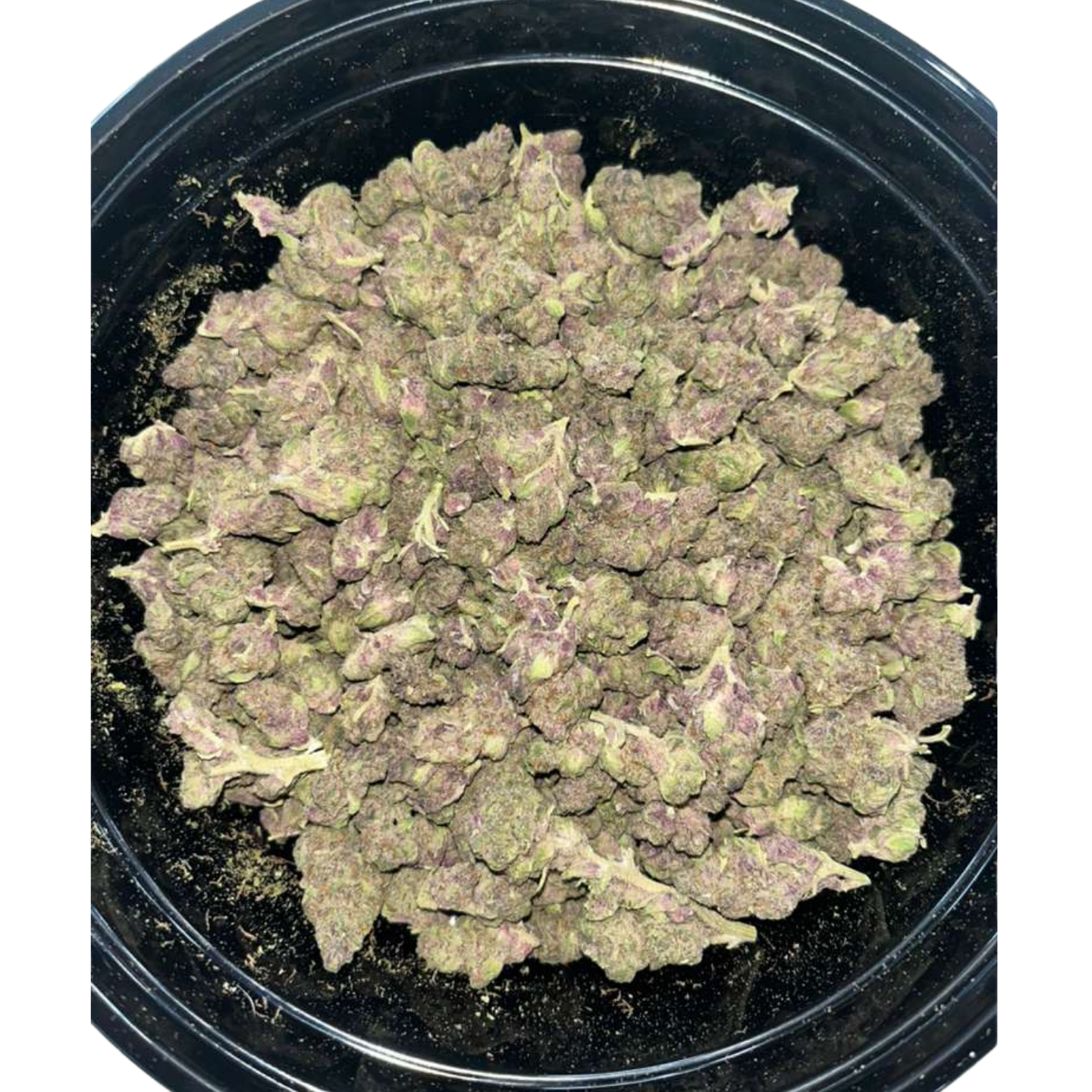 Tropical Cherry Smalls / Shake Combo