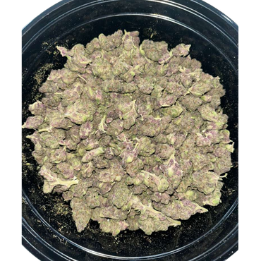 Tropical Cherry Smalls / Shake Combo