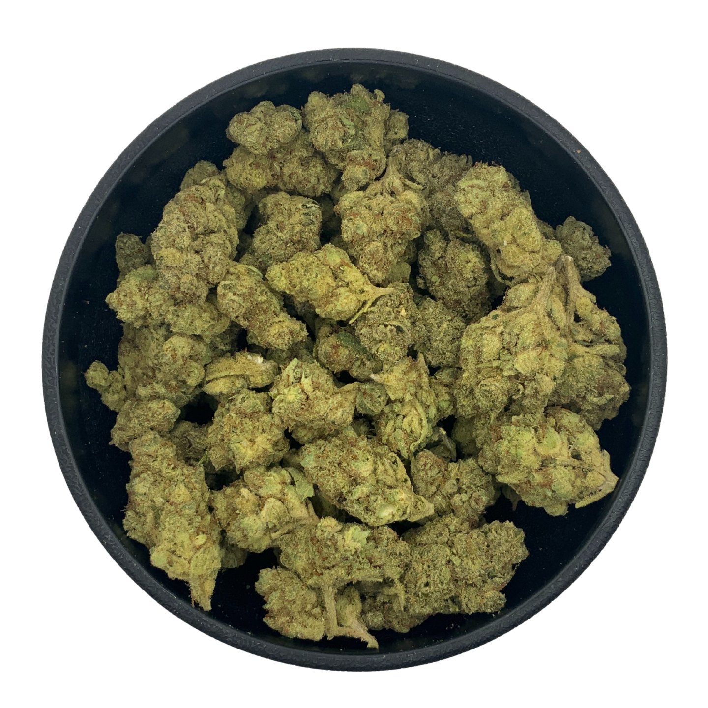 Gary Payton - Greenhouse