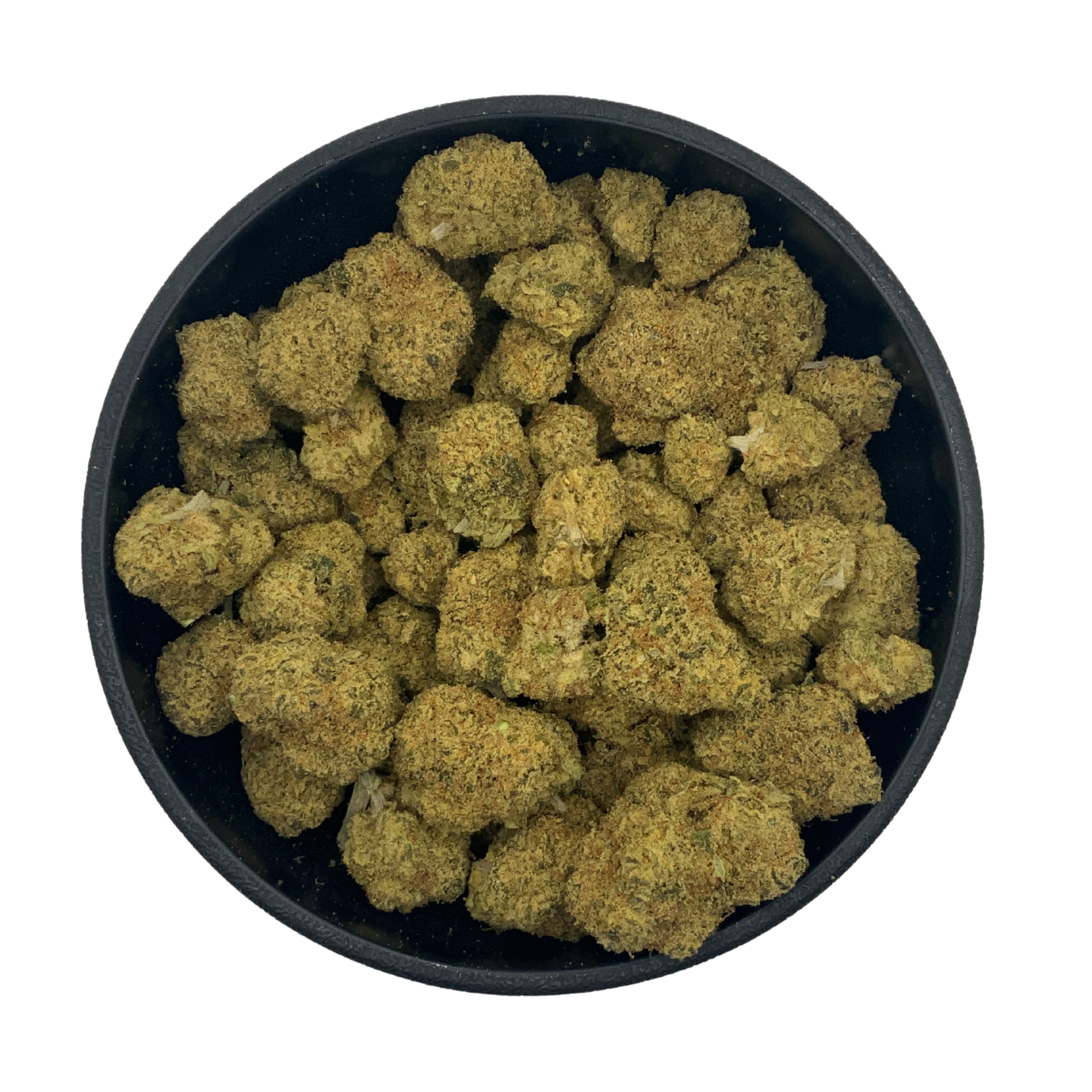 Gary Payton - Indoor