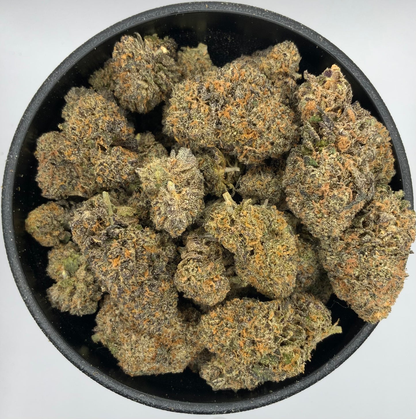 Ferrari Runtz #2 - Indoor