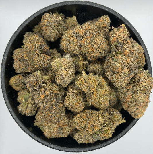 Ferrari Runtz #2 - Indoor