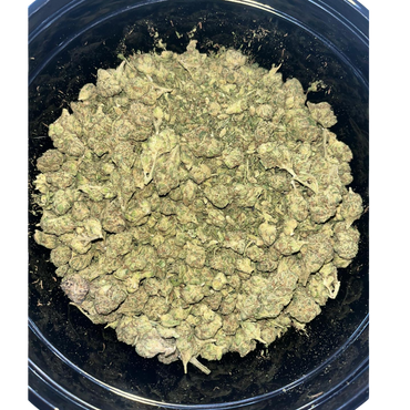 Lemon Cherry Gelato Smalls / Shake Combo