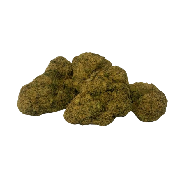 Lemon Cherry Gelato - Indoor