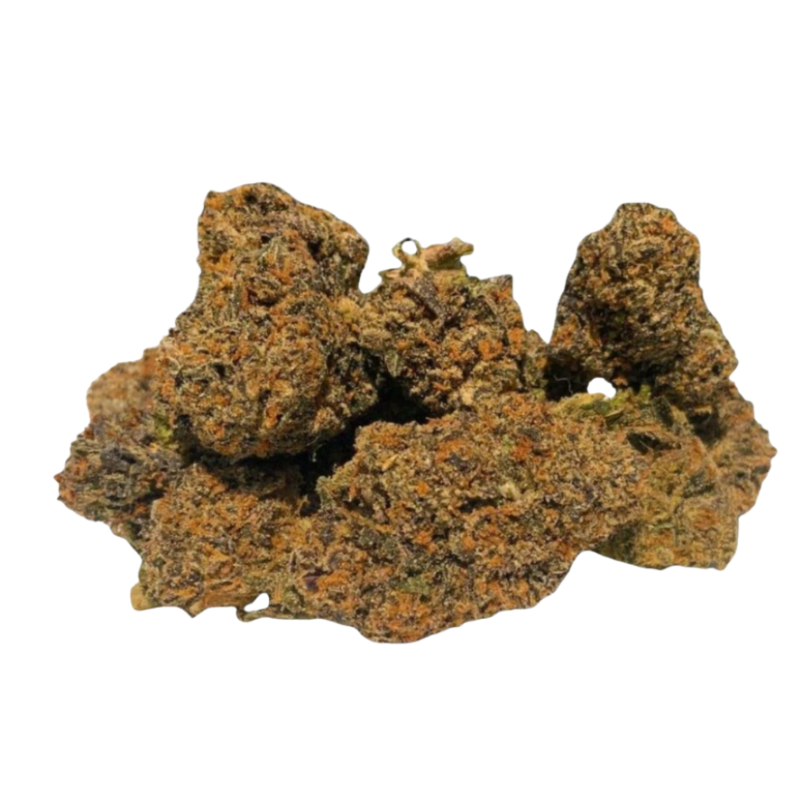 Ferrari Runtz - Indoor