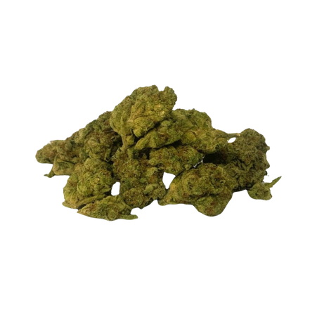 Gary Payton - Greenhouse