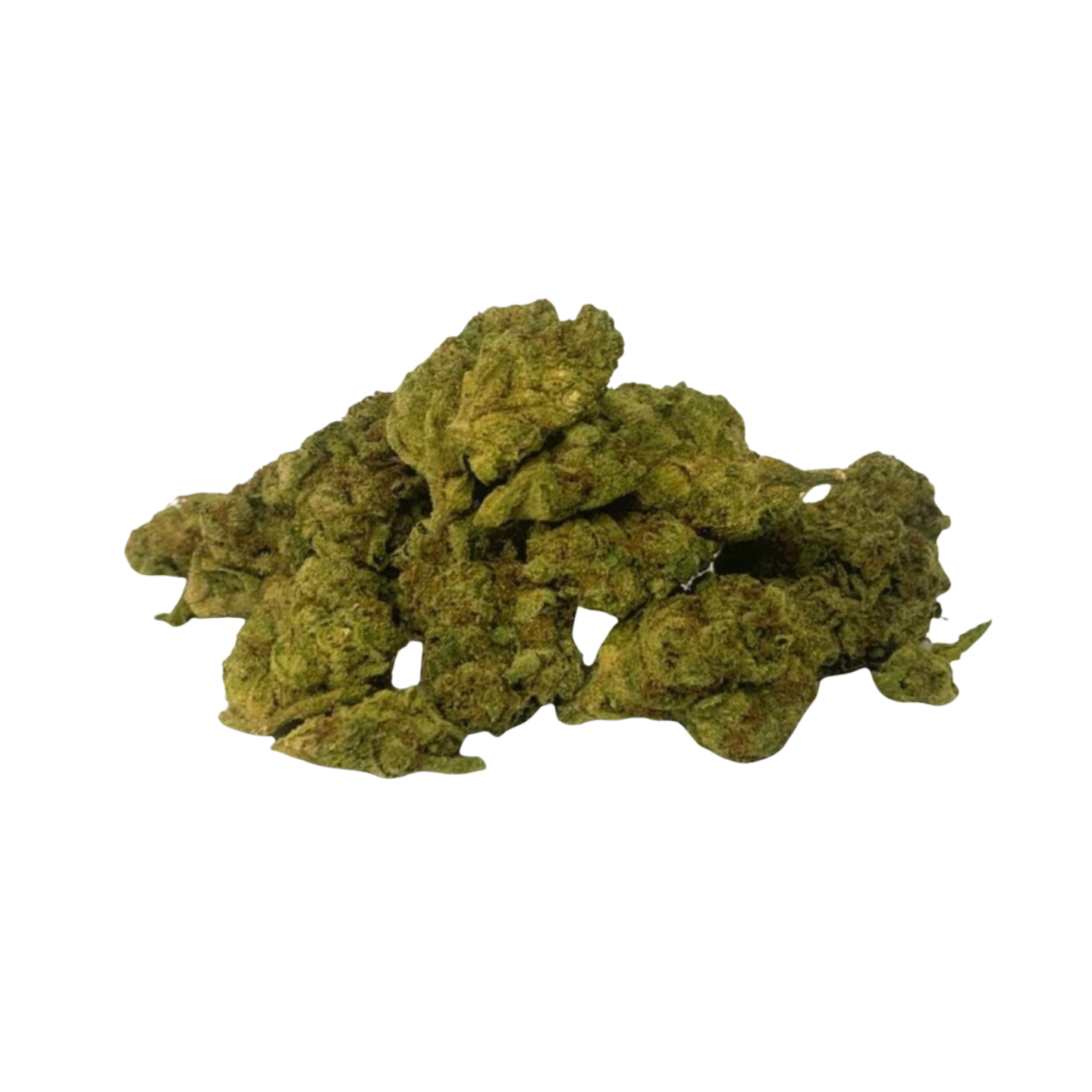 Gary Payton - Greenhouse