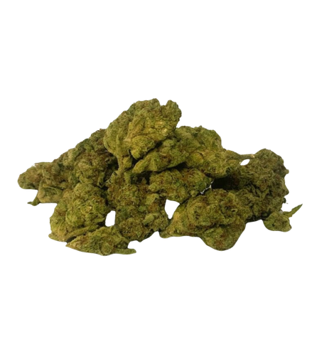 Gary Payton - Greenhouse