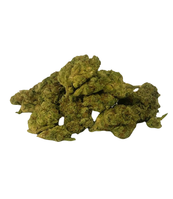 Gary Payton - Greenhouse