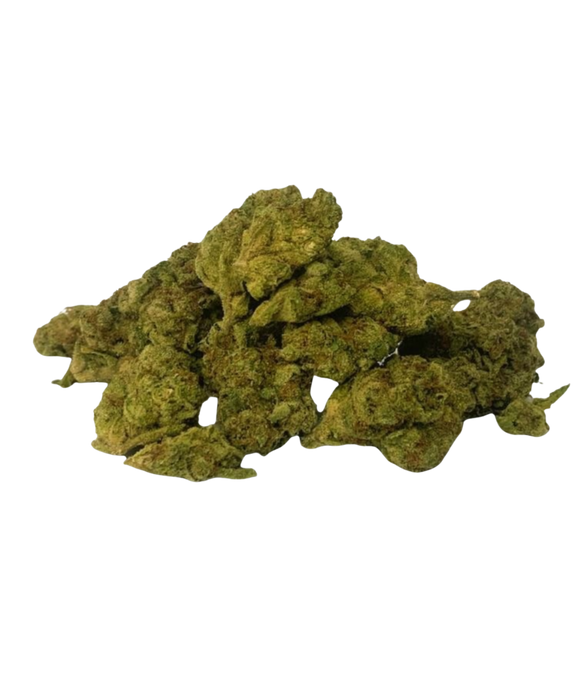 Gary Payton - Greenhouse