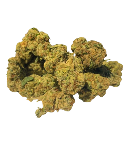 Gumbo Light - Greenhouse