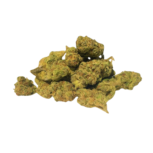 Lemon Cherry Gelato - Greenhouse