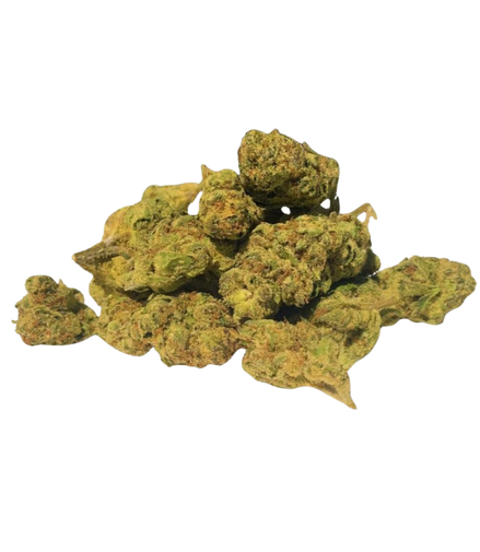 Lemon Cherry Gelato - Greenhouse