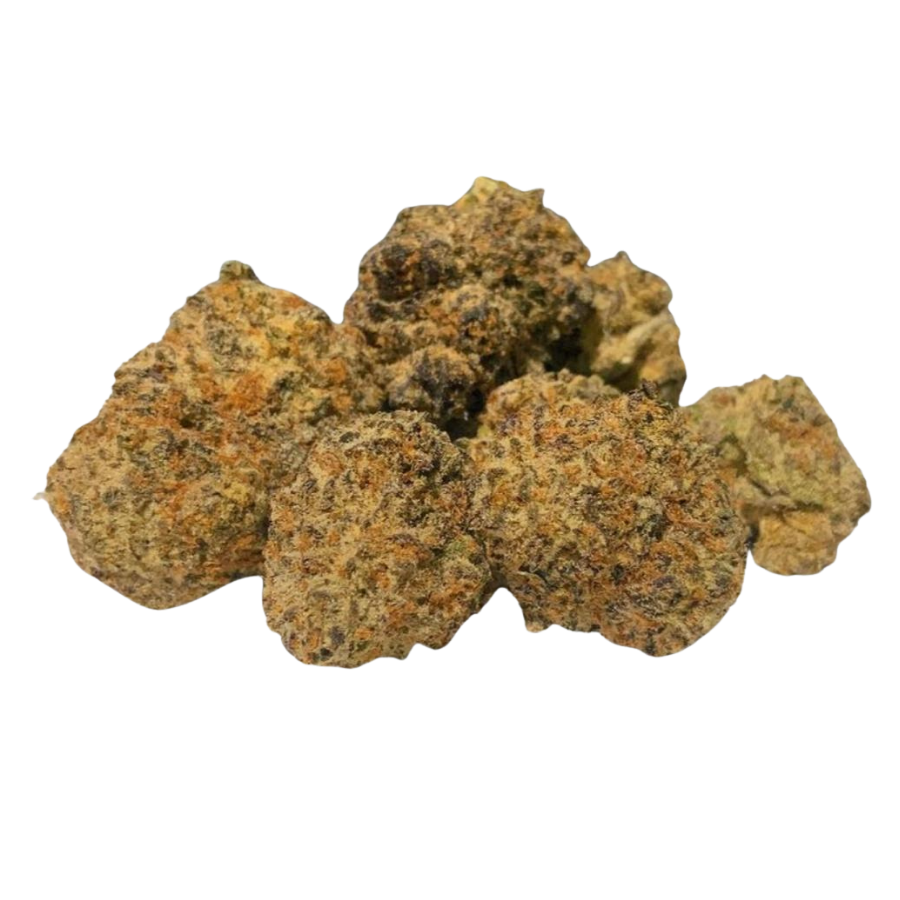 Mochi Gelato - Indoor