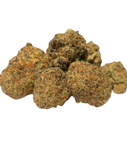 Mochi Gelato - Indoor