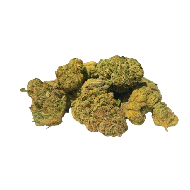 Pablo's Revenge - Greenhouse