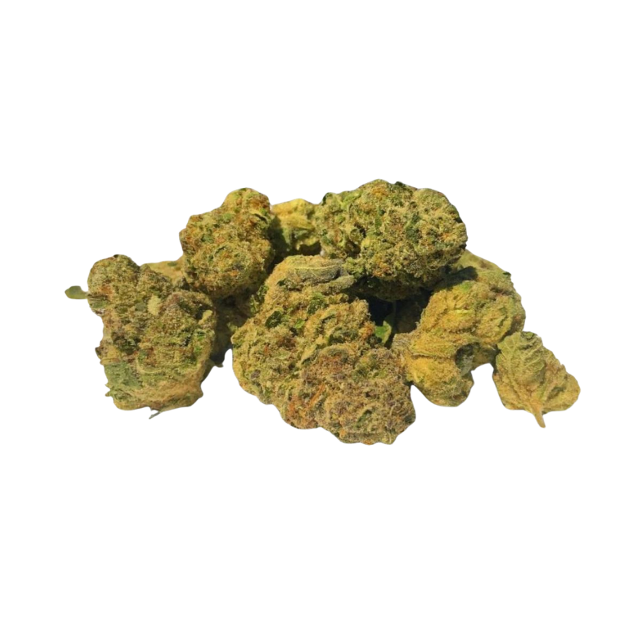 Pablo's Revenge - Greenhouse