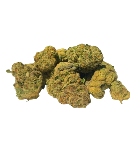 Pablo's Revenge - Greenhouse