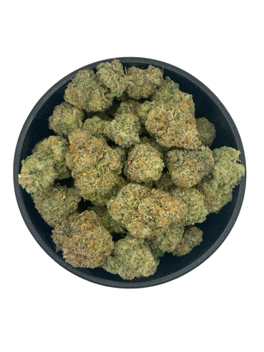 Platinum Lemon Cherry Gelato - Indoor