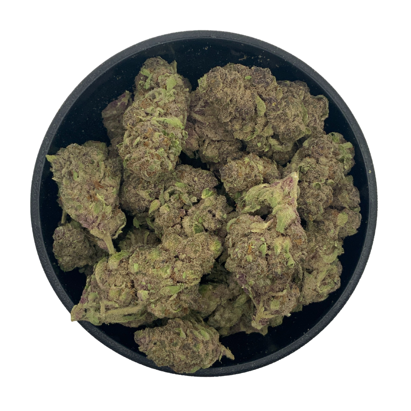 Tropical Cherry - Greenhouse