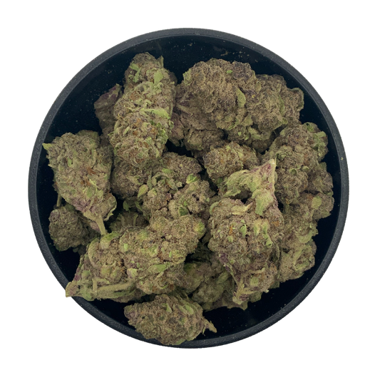 Tropical Cherry - Greenhouse