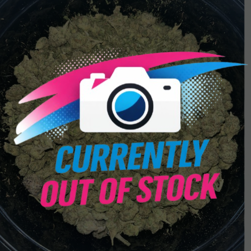 Lemon Cherry Gelato Smalls / Shake Combo